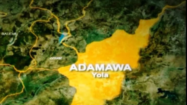 Adamawa stakeholders back ‘Reserved Seats for Women Bill’