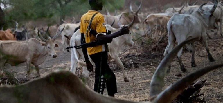 BREAKING: Scores feared dead as suspected herdsmen launch fresh attack on Naka, Benue
