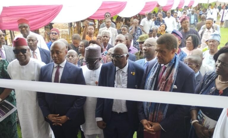 Diaspora doctors can transform Nigeria’s health sector – Dabiri-Erewa Diaspora doctors can transform Nigeria’s health sector – Dabiri-Erewa