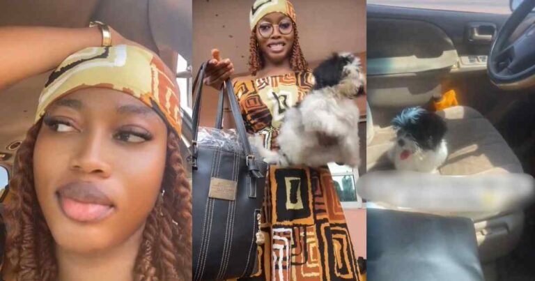 “He refused to leave the driver’s seat” – Lady shares her first-time experience traveling with her pet dog on public transport (WATCH) "He refused to leave the driver's seat" – Lady shares her first-time experience traveling with her pet dog on public transport (WATCH)