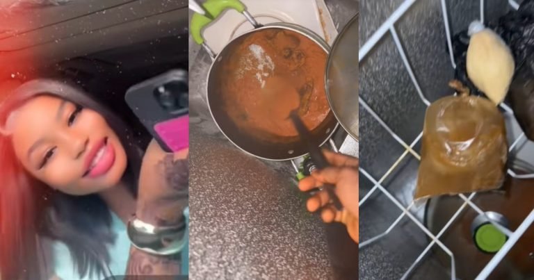 Lady disappo!nted after visiting her friend's house hungry, only to find all her food frozen (VIDEO)