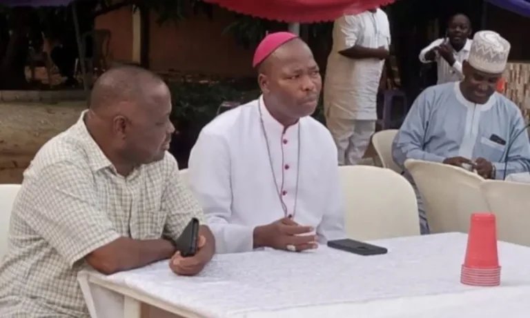 Nigerian Catholic bishops get schedule to meet with new Pope