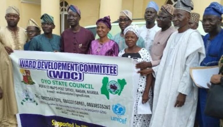 Oyo govt seeks partnership to strengthen PHC at grassroots