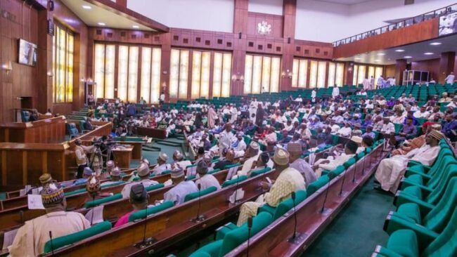 Reps approve extension of 2024 Appropriation Act to December 2025