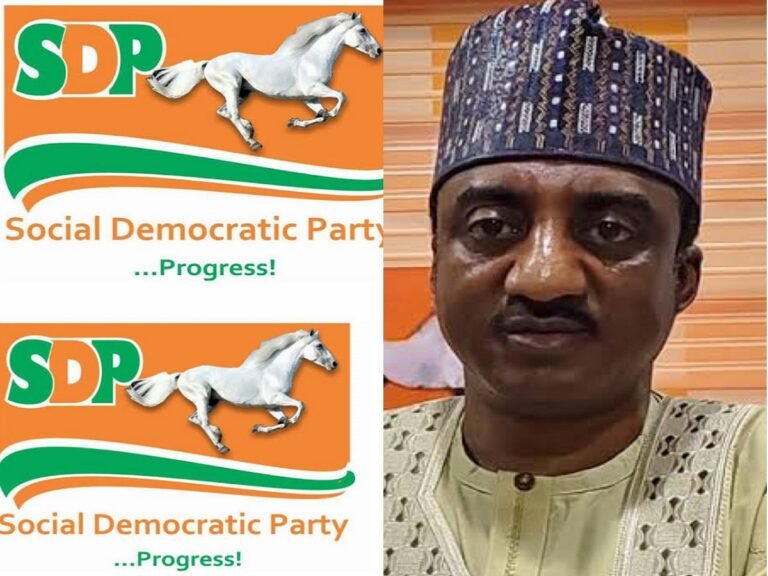 SDP suspends National Chairman, others over alleged financial misconduct