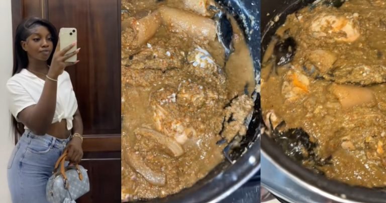 "They all d!ed when the soup was ready" – Lady shows off the soup she made with live crabs after her mom asked her to cook (WATCH)