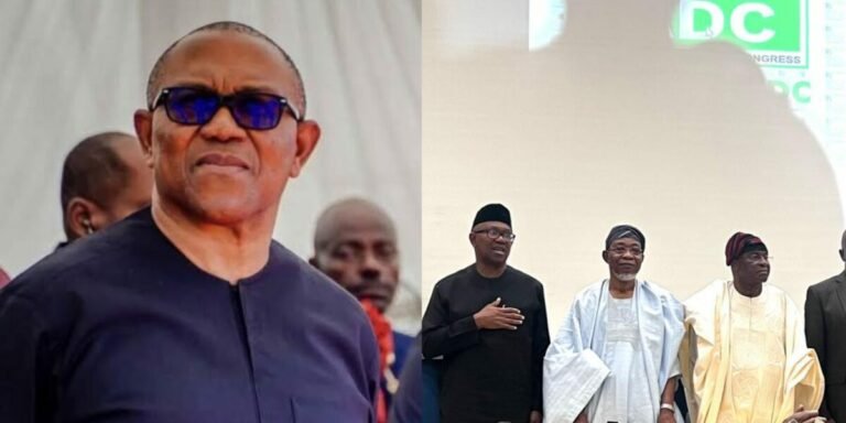 Coalition: Nenadi Usman, Abure camps resume tackles after Obi’s romance with ADC