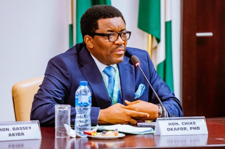 Malnutrition costs Nigeria over $1.5bn annually - Reps member