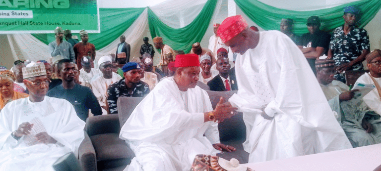 Produce constitution of hope, justice — Gov Namadi urges lawmakers