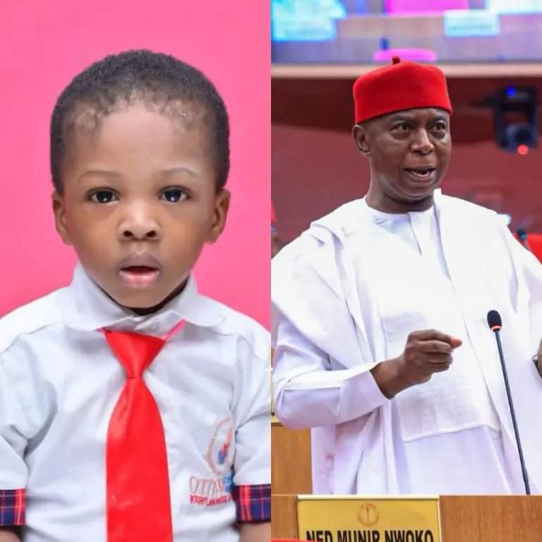 Senate: Family of child killed during NDLEA operation in Delta to get N200m compensation