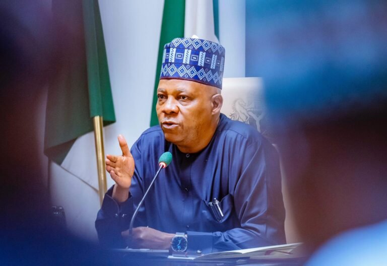 Shettima’s book launch comment wasn’t about Fubara’s suspension – Presidency