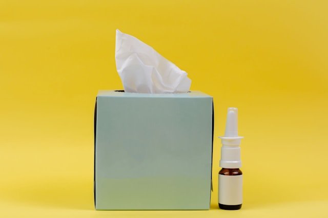 The Hidden Connection Between Indoor Air Quality And Allergies The Hidden Connection Between Indoor Air Quality And Allergies