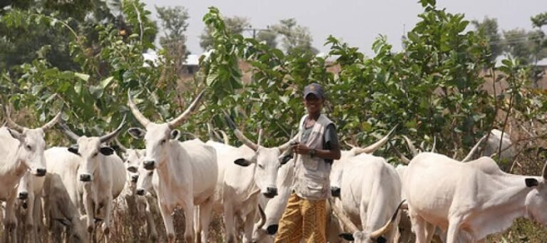Fulani pastoralists urged to expose criminals, boost security