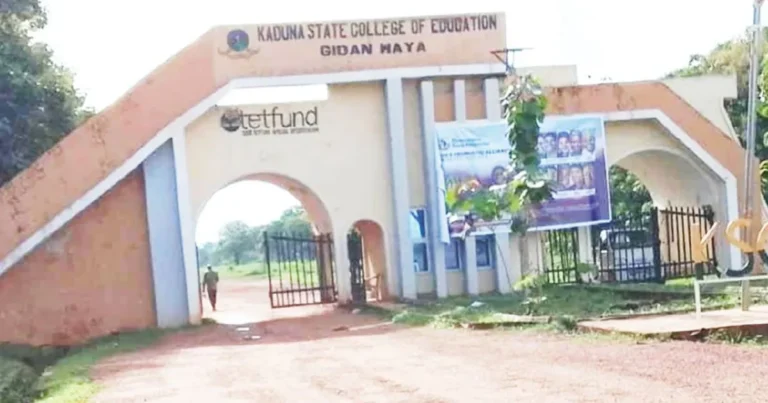 Insecurity, Collapsed Facilities Plague Stud