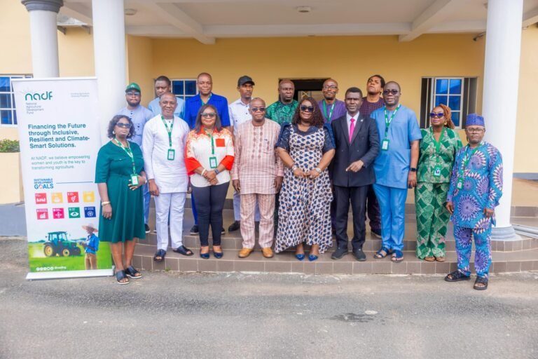 NADF launches ginger sustainability programme, strengthens agric research institutes