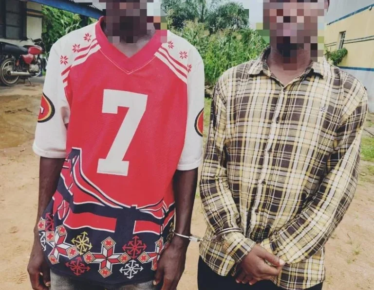 Ogun Police Arrests Suspects, Recovers Stolen Vehicle, Firea