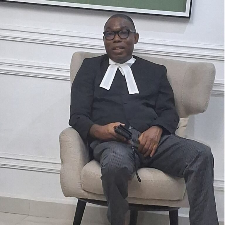 ‘They want to use bandits to win election’ – Adebayo on why govt can’t end insecurity