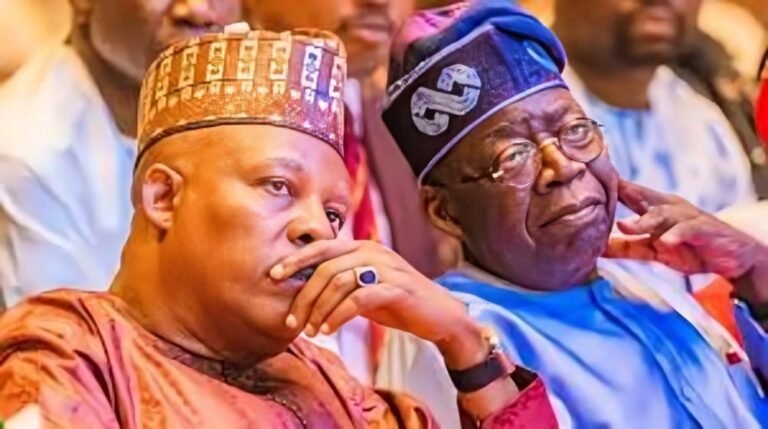 2027: Shettima’s VP re-nomination reflects loyalty, capacity — Presidential aide