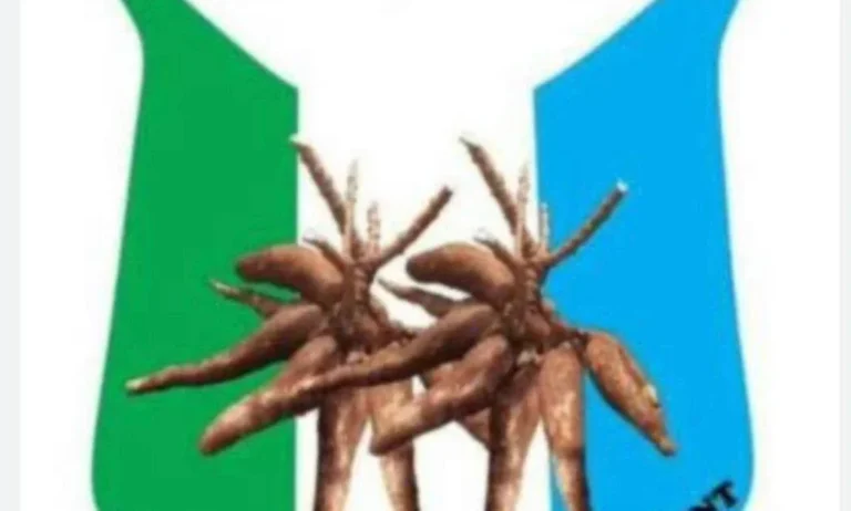 APM Defends Makinde's Call for UN Probe