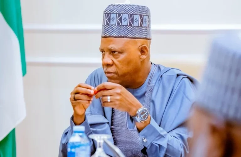 Africa Must Unite on Digital, Telecoms Policies — Shettima Africa must speak with one voice on digital, telecoms policies — Shettima