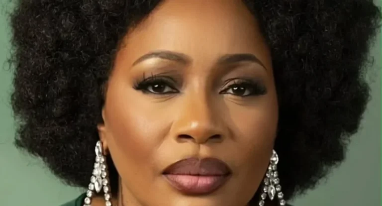 Arm Vigilantes Pending State Police, Clarion Chukwurah Tells