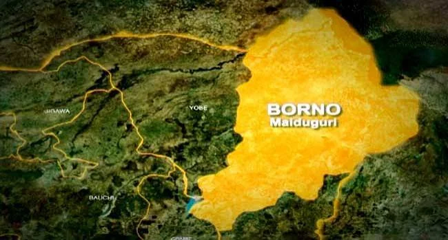 Borno Commissioner Shares Video of Kidnapped Students Borno commissioner shares 15-second video of kidnapped students at summit
