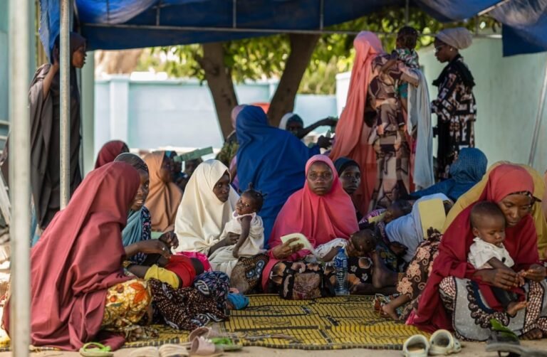 Conflict, funding shortfalls push northern Nigeria hunger crisis to worst levels — WFP