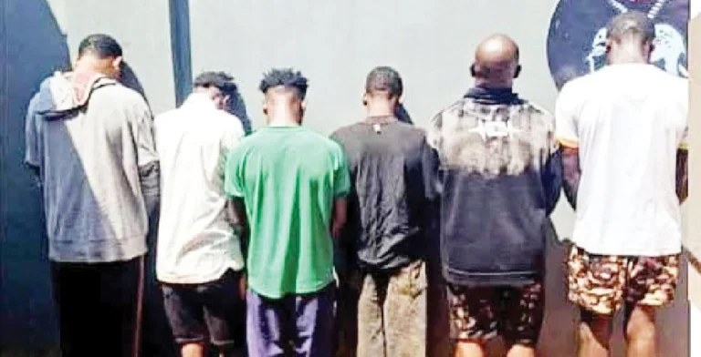Police arrest 14 suspected cultists in Enugu