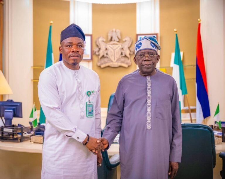 NADDC DG briefs Tinubu on developments in Nigeria’s automotive industry