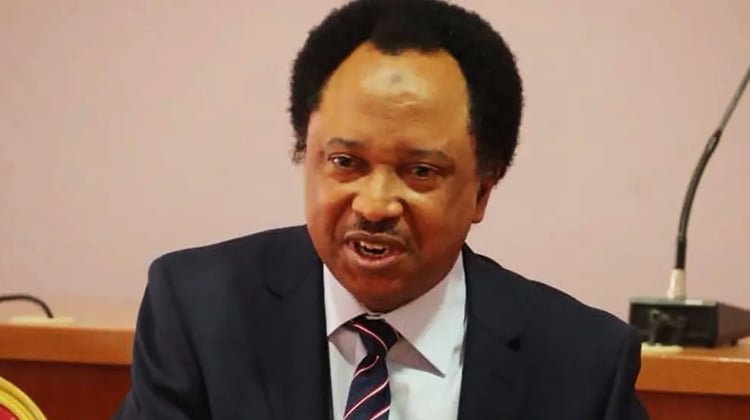 Nigeria must learn from past to secure future — Shehu Sani