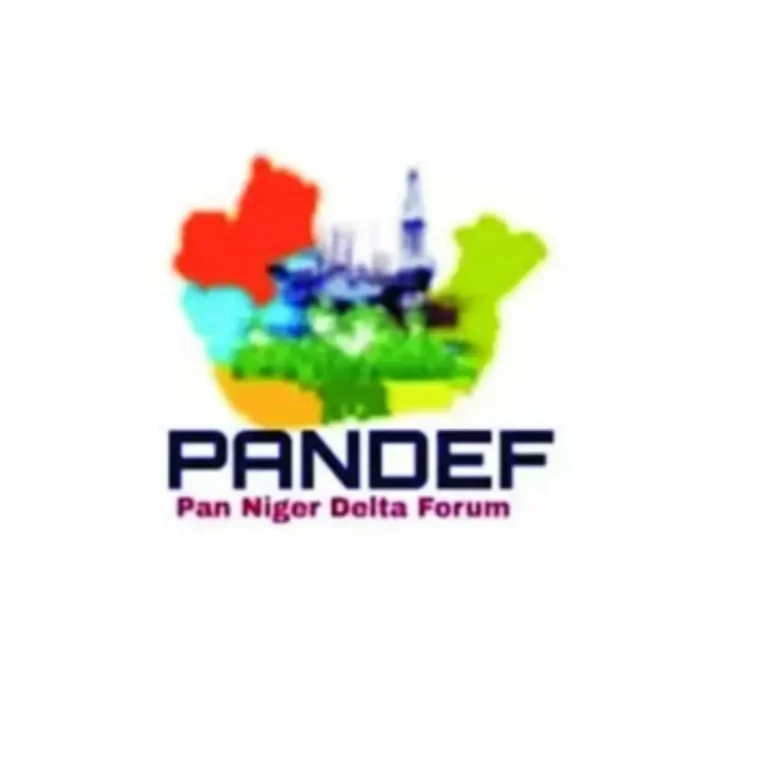 PANDEF protests exclusion of South-South from FG’s N3.9trn road projects
