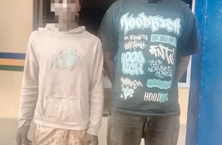 Police Arrest Two, Foil Abduction in Ogun