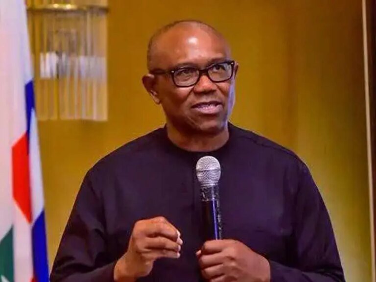 Real reason I picked Kwankwaso as my running mate – Peter Obi