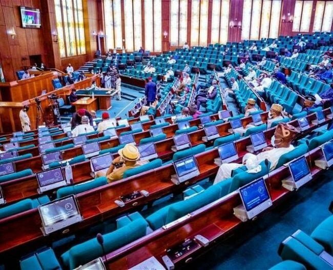 Reps flag off probe into ‘fake’ PFIPC inclusion in budget, Monday