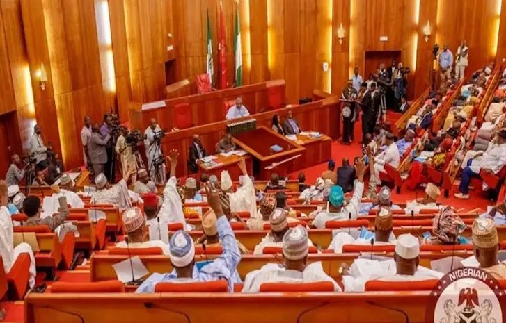 Senate approves N11.074trn revenue target for Customs