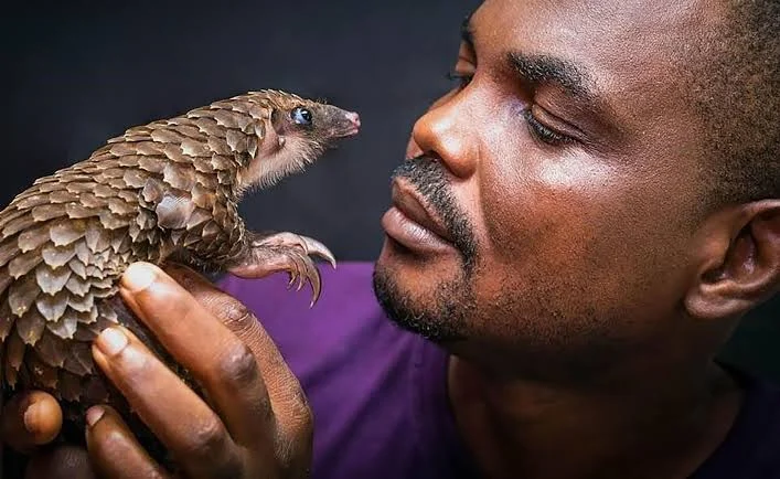 Snake Protection Laws Needed to Curb Lassa Fever, Expert Say A wildlife conservation expert, Dr Mark Ofua