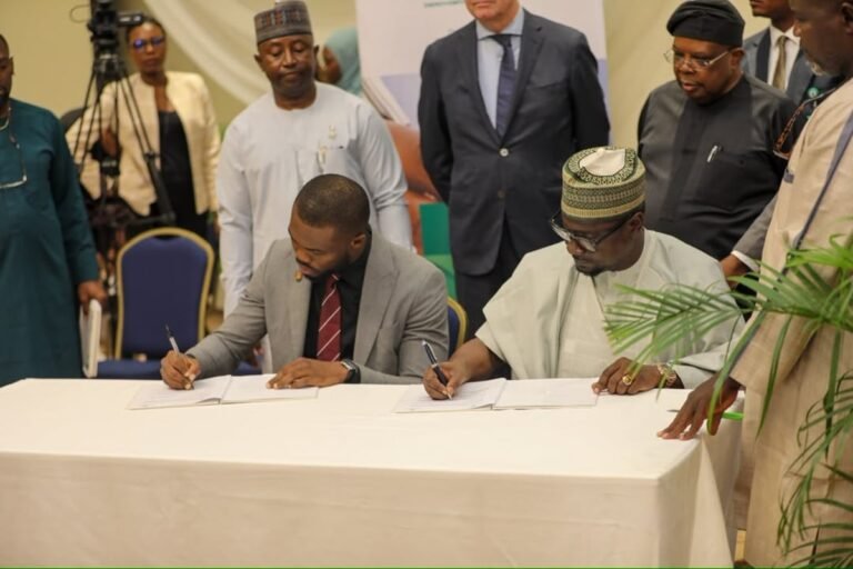YSDN, REA sign MoU to advance clean energy access in Nigeria