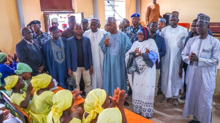 Zulum orders automatic employment for 17 volunteer nurses in Biu