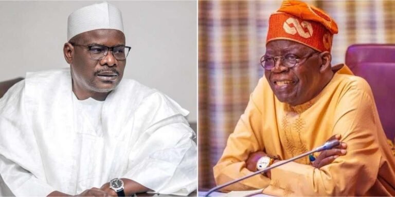 2027 campaigns shouldn’t be about Tinubu’s certificate — Ndume