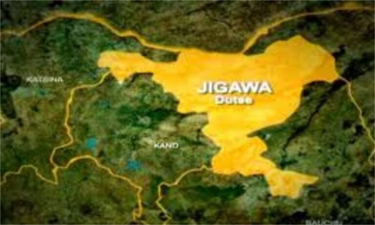 Armyworm infestation destroys crops in Jigawa farmlands