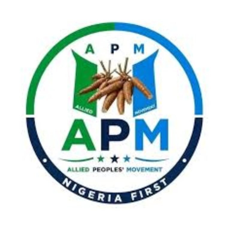 Bauchi LG polls: APM wins all 20 chairmanship seats, 319 councillorship positions