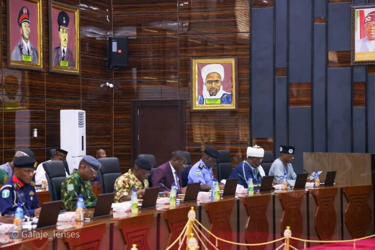 Bauchi gov orders security forces to flush out criminal elements