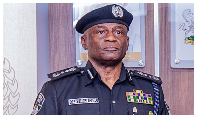 Don’t allow youthful activities cut short your lives – IGP Disu charges Nigerian youths