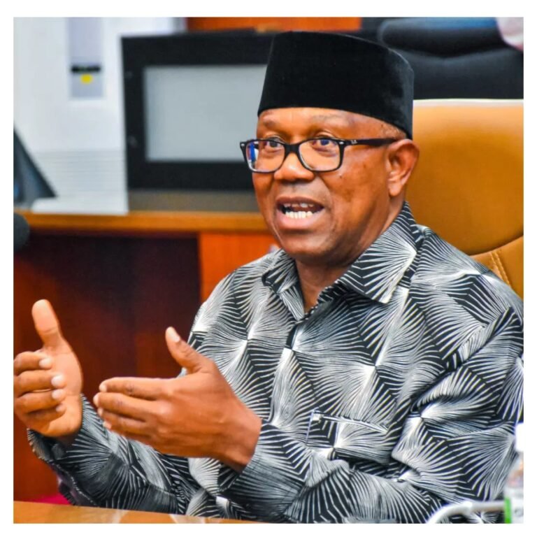 Excusing unverified certificates among politicians threatens Nigeria’s future – Peter Obi