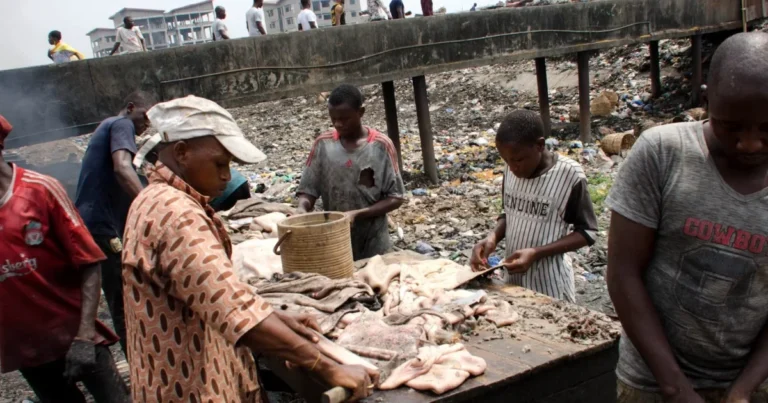 Lagos to Turn Abattoir Waste into Biogas, Fertiliser Lagos to Turn Abattoir Waste into Biogas, Fertiliser