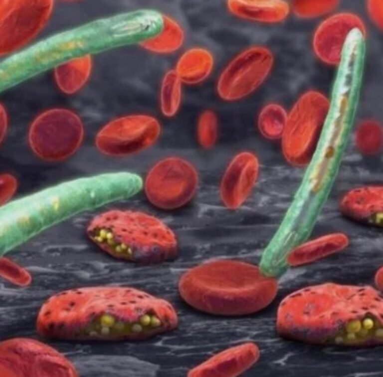 Prevent malaria relapses