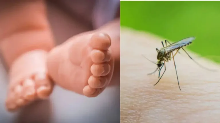 WHO first malaria treatment for newborns
