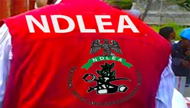 NDLEA dislodges six drug hotspots in Kano, arrests 15 suspects