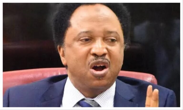 Opposition governors backing Tinubu for political survival – Sani