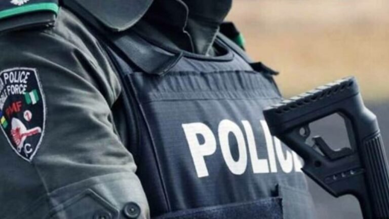 Police arrest two burglary suspects, recover household items in Yobe